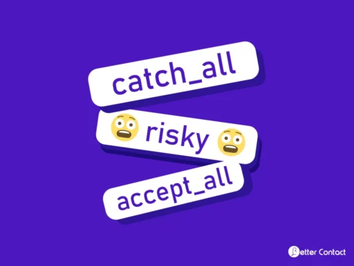 Catch-All Verification